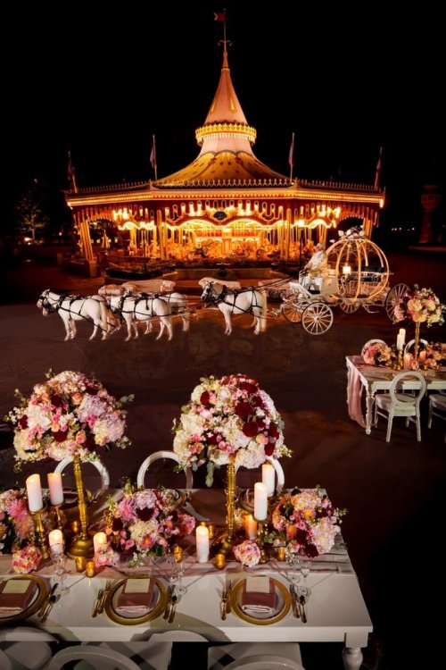 Ночная свадьба в Disney World (9 фото + видео)