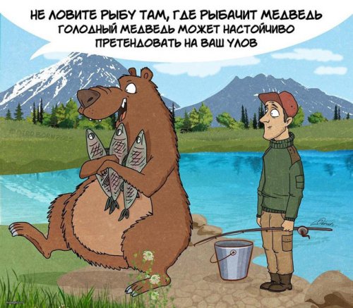 Комиксы с правилами поведения на медвежьей территории (9 фото)