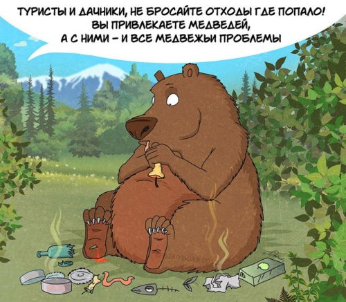 Комиксы с правилами поведения на медвежьей территории (9 фото)