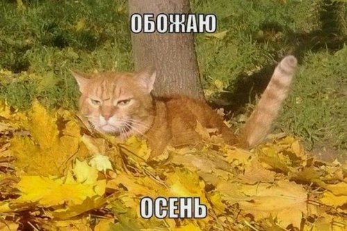 Прикольные картинки пятничным вечером (74 шт)