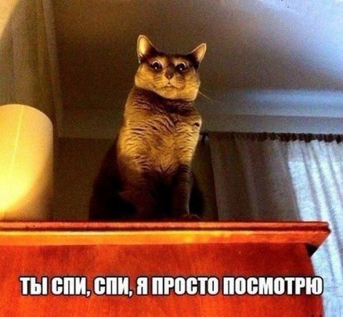 Прикольные картинки пятничным вечером (74 шт)