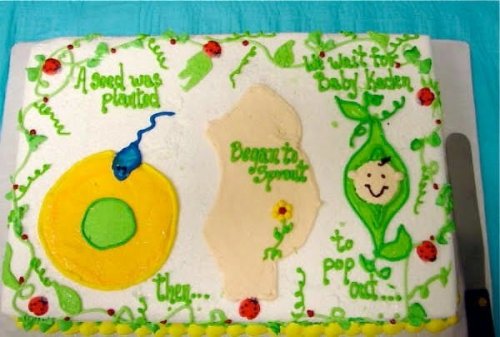 Странные и причудливые торты в честь рождения ребёнка (26 фото)
