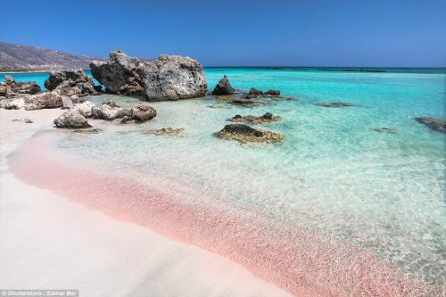Необычная красота розовых пляжей (10 фото)