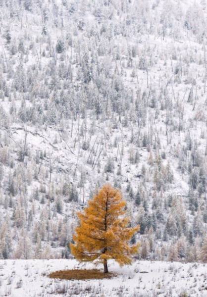 Зима в фотографиях (27 фото)