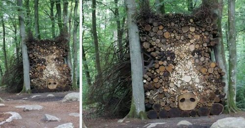Заготовка дров с креативным подходом (21 фото)