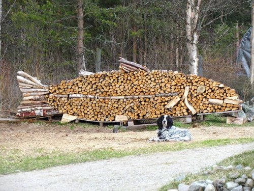 Заготовка дров с креативным подходом (21 фото)
