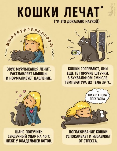Забавные комиксы про жизнь с кошкой (20 фото)