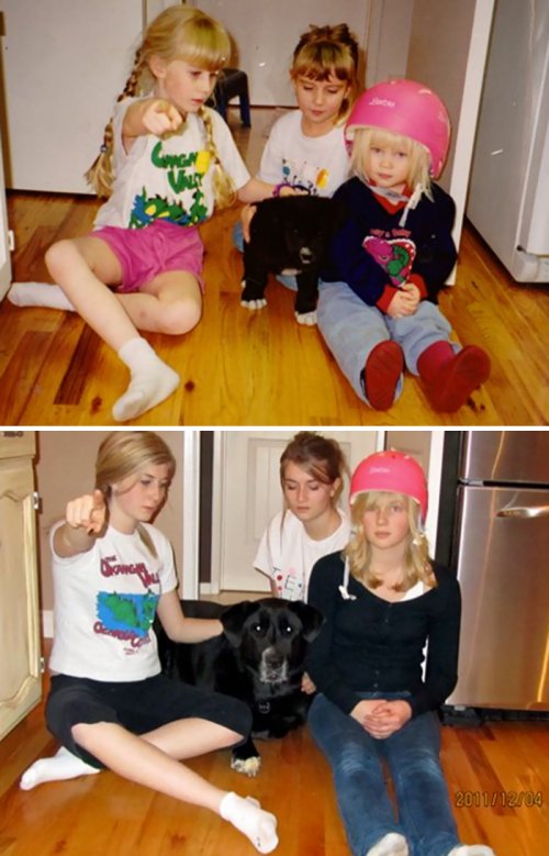 Фотографии собак "до и после", выросших вместе со своими владельцами (34 фото)