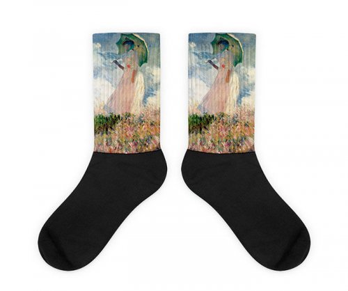 Художественные носки для настоящих ценителей искусства (27 фото)