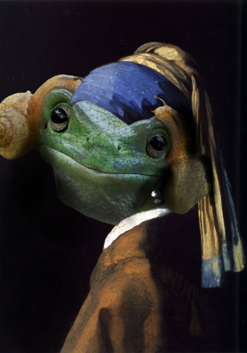 Лягушка, похожая на принцессу Лею, и фотожабы на неё (18 фото)