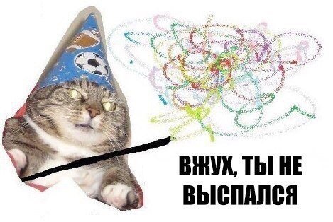 Популярный Интернет-мем: кот-волшебник "Вжух" (10 фото)