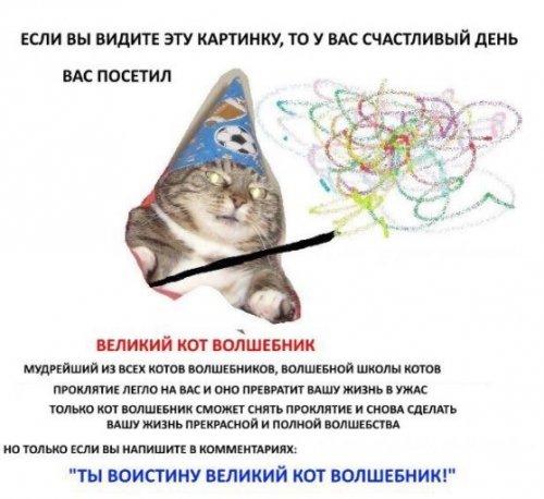 Популярный Интернет-мем: кот-волшебник "Вжух" (10 фото)