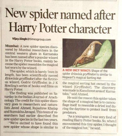 Новый вид пауков назвали в честь персонажа из "Гарри Поттера" (3 фото)