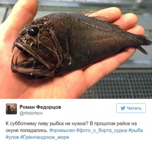 Познавательный твиттер моряка Романа Федорцова (16 фото)