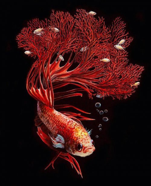 Гиперреалистичные рисунки рыбок Лизы Эриксон (9 фото)