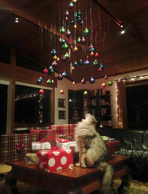 Гениальные способы защитить новогоднюю ёлку от собак и кошек (35 фото)