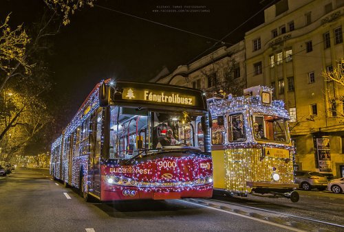 Рождественский Будапешт в фотографиях Рижави Тамаша (28 фото)