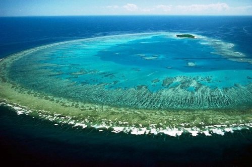 Топ-25: Интересные факты про Большой Барьерный риф, о которых вы захотите услышать