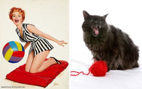 Кошки в образе пинап-девушек (27 фото)