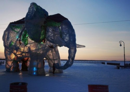 Гигантский слон из пластиковых бутылок в Архангельске (7 фото + видео)
