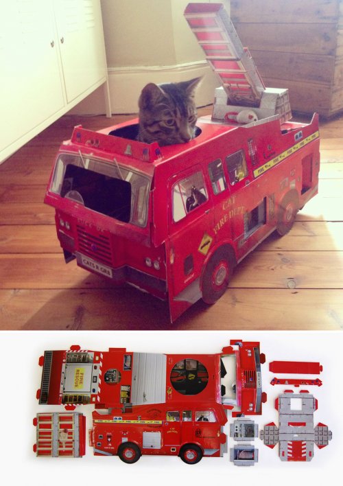 Уникальные домики и когтеточки для кошек от компании SUCK UK (7 фото)