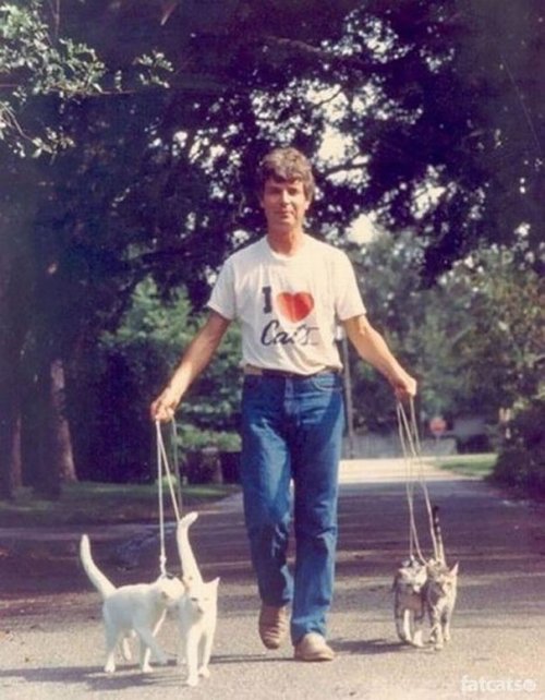 Причудливые старые фотографии мужчин, позирующих с кошками (24 фото)