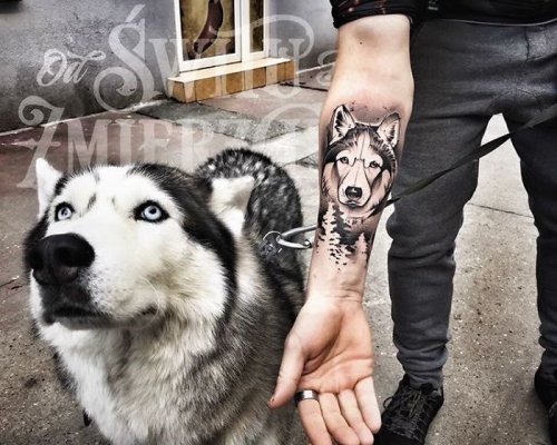 Классные татуировки с собаками (35 фото)