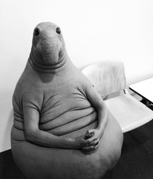 Скульптура голландской художницы "Ждун" стала героем Интернет-шуток (11 фото)