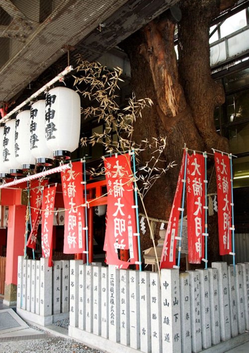 Эта японская ж/д станция была построена вокруг старого 700-летнего дерева и вот почему (7 фото)