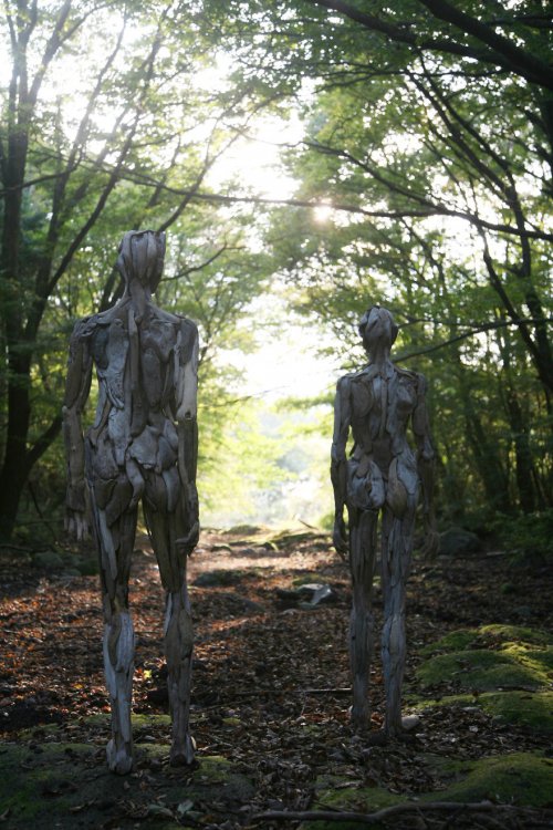 Скульптуры из коряг Нагато Ивасаки, которые никого не оставят равнодушными (10 фото)