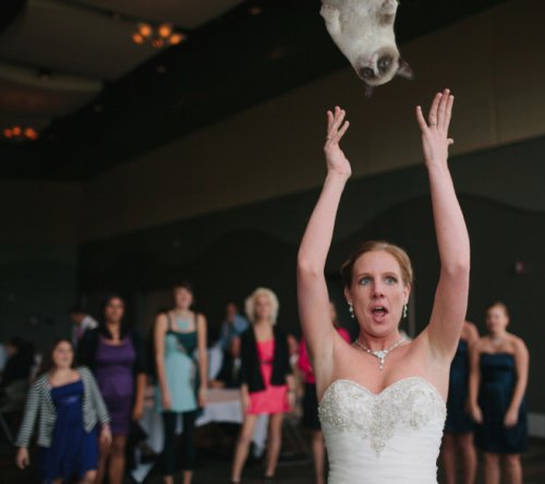 Летающие кошки вместо свадебных букетов (15 фото)