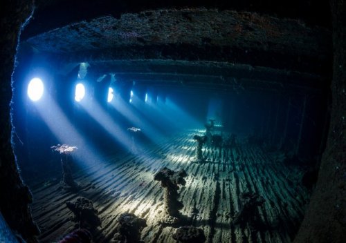 Топ-10: лучшие подводные фотографы 2017 года по версии Великобритании