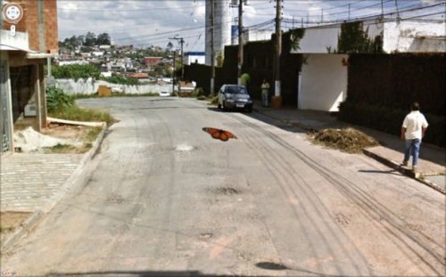 Всё самое странное и прикольное с Google Street View (18 фото)