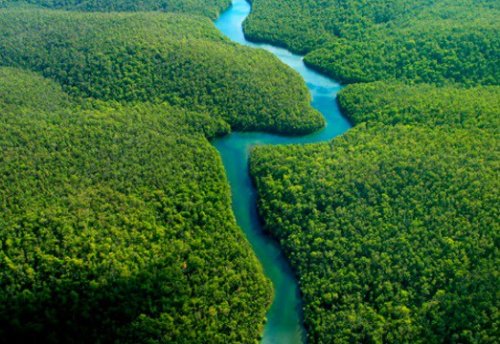 Топ-10: Самые длинные реки в мире