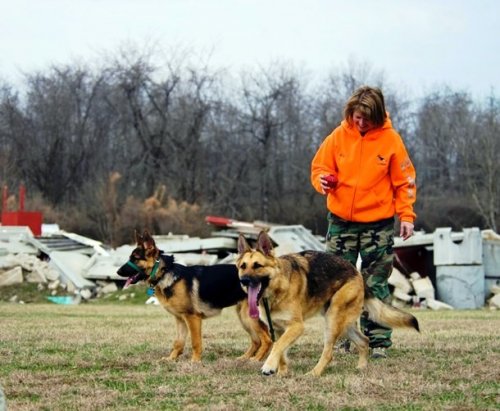 Топ-25: самые любопытные факты про поисково-спасательных собак
