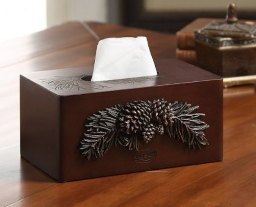 Необычные и прикольные коробки с одноразовыми салфетками (10 фото)