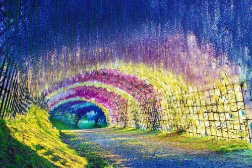 Потрясающие природные туннели, прогулка по которым похожа на сказку (22 фото)