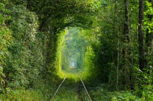 Потрясающие природные туннели, прогулка по которым похожа на сказку (22 фото)