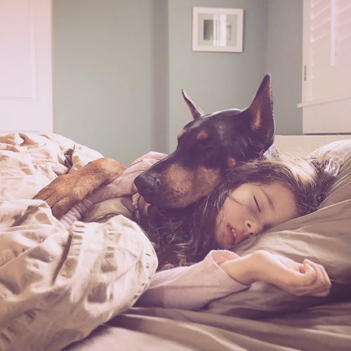 Очаровательные парочки: малыши, спящие в обнимку со своими собаками (26 фото)