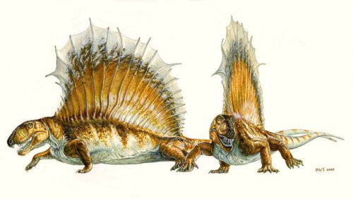 Топ-10: жуткие животные, жившие на Земле еще до динозавров