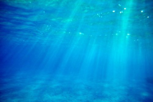 Топ-10: удивительные факты про морские глубины, о которых не все знают