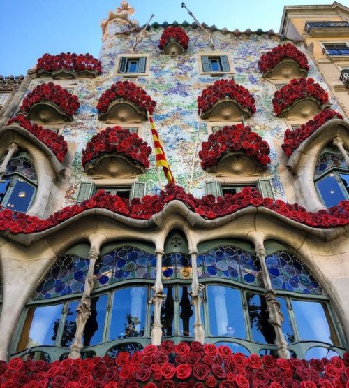 Украшенный розами "Дом костей" в Барселоне (5 фото)