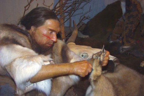 Топ-10: самые популярные теории о том, почему вымерли неандертальцы
