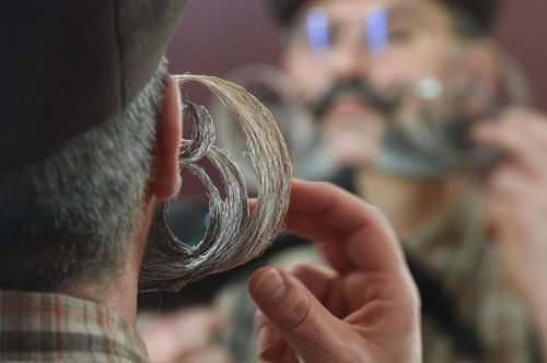 Конкурс усачей и бородачей в Унгершейме (12 фото)