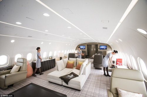 Крупнейший в мире роскошный частный самолёт Boeing 787 Dreamliner VVIP (14 фото)