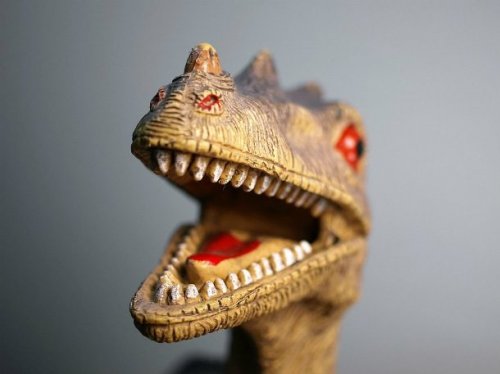 Топ-25: великие тайны мира динозавров, которые нам пока что не суждено раскрыть