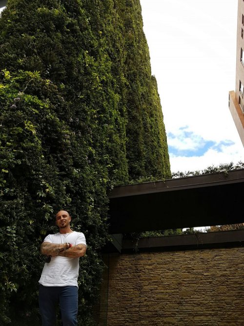Настоящее живое здание в Боготе, которое признано самым большим вертикальным садом в мире