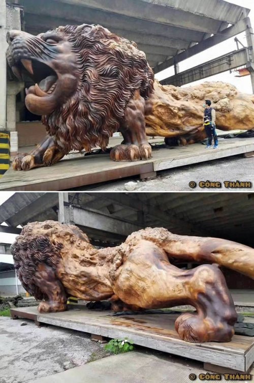 Впечатляющие скульптуры, созданные из цельного ствола дерева (9 фото)