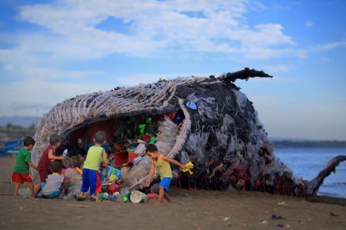 "Мёртвый кит" на филиппинском побережье как предостережение об угрозе гибели океана (7 фото)