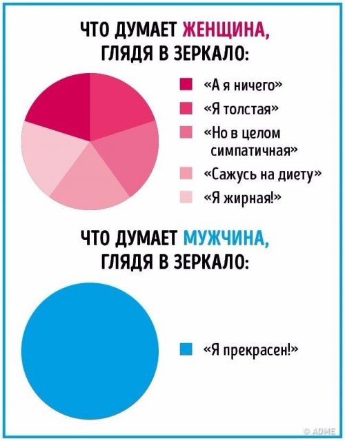Отличия между мужчинами и женщинами в прикольной инфографике (10 фото)